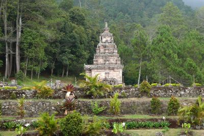 This is number 4 of the 5 accessible temples of Gedong Songo (out of 9 total)