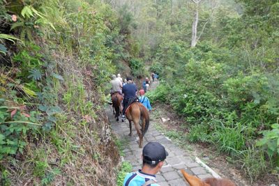Heading back down from Gedong IV and V