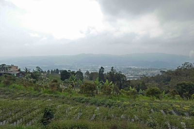 View of Valley from Gelong I