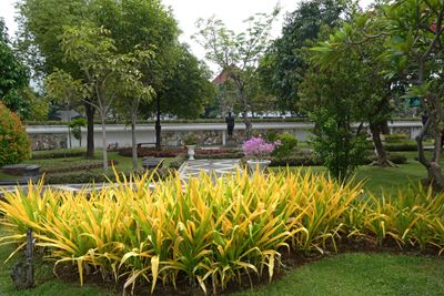 Garden on the grounds of the Heroes Monument in Surabaya