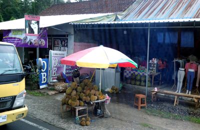 Durian (a stinky fruit) is popular in Indonesia