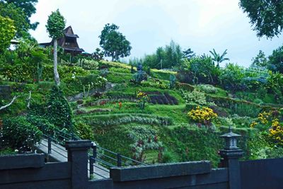 House with hillside garden on Bali, Indonesia