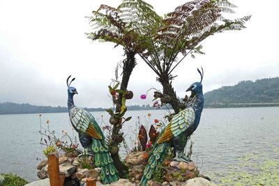 Peackock statues on Lake Bratan at Ulun Danu Beratan