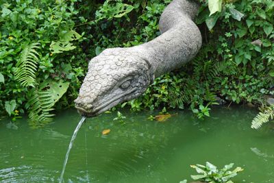Snake fountain in the Monkey Forest Sanctuary, Ubud, Bali