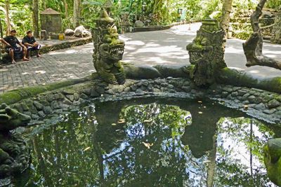 Dragon statues at a pond in Monkey Forest Sanctuary