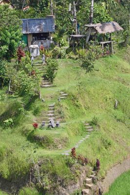 Farmer's buildings above Tegalalang Rice Terraces