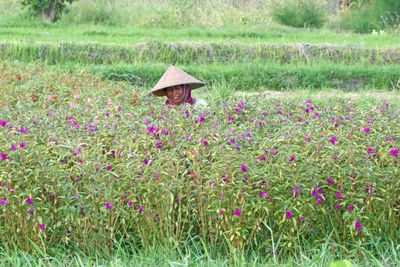 lowers are an important part of the Balinese daily offerings known as 'canang sari'