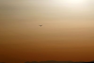 Soaring above the Grand Canyon near sunset
