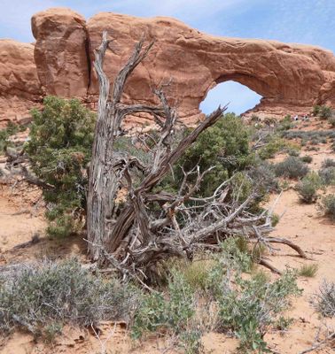 North Window in Arches National Park