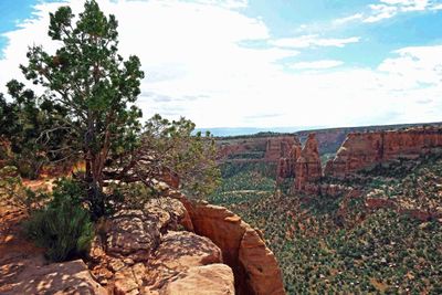View along Canyon Rim Trail in Colorado National Monument