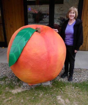 Pit stop at Palisade Peach Shack, Colorado