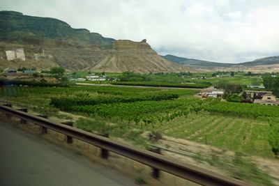 Wineries in Colorado