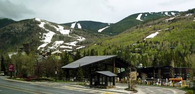 Vail Ski runs and Aspens (trees) in May