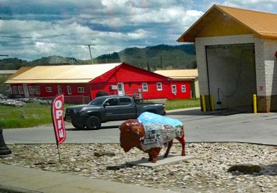 Painted bison statues on display in Custer, SD