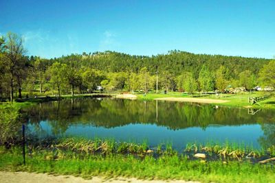 One of five lakes and ponds in Custer State Park