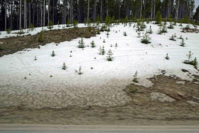 Starting to see more snow as we go over the Bighorn Mountains