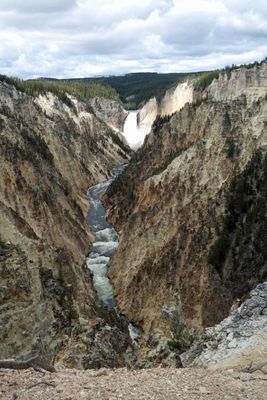 Grand Canyon of Yellowstone