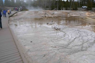 Fountain Paint Pot Trail goes through one of the most dynamic hydrotherrmal areas in Yellowstone National Park