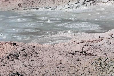 Bubbling Mud Pot on Fountain Pot Trail in Yellowstone