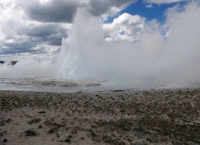 Geyser along Fountain Paint Pot Trail in Yellowstone