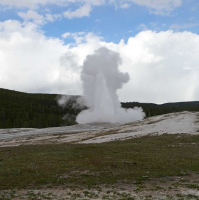 Old Faithful starting to erupt in the afternoon
