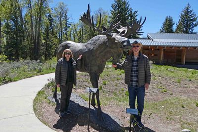 Moose statue at a rest stop in Grand Teton National Park