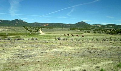 Metal art on the plains of Utah