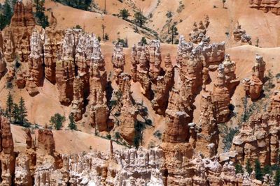 Close-up of hoodoos in Bryce Canyon National Park