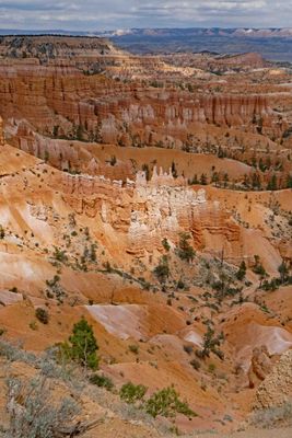Walking along the rim of Bryce Canyon
