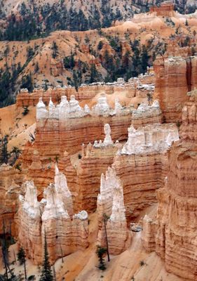 More hoodoos while walking along the Bryce Canyon Rim