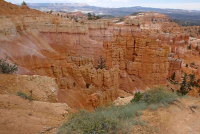 Changing shapes and colors along the rim of Bryce Canyon