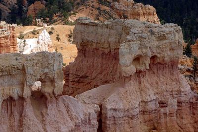 Holes in rocks in Bryce Canyon are known as 'windows'