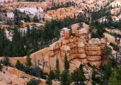 Another different shape in Bryce Canyon National Park