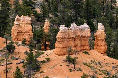 These appear to have been set down on sand in Bryce Canyon