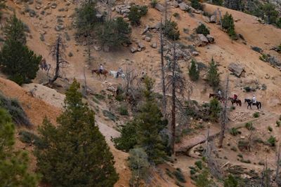 Horse trail in Bryce Canyon National Park