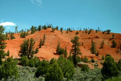 Leaving Red Canyon in Utah
