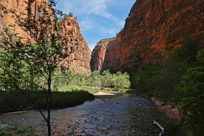 The Virgin River flows through Zion Canyon