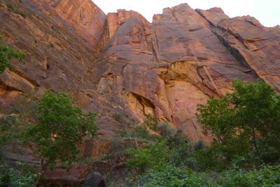 Looking up at the sheer cliffs from the bottom of Zion Canyon