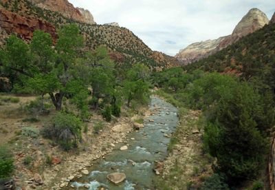Last look at the Virgin River in Zion National Park