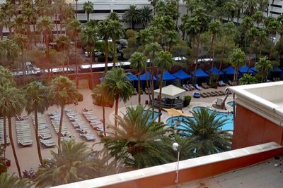 Room overlooking Treasure Island Pool