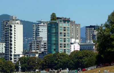 Eugenia Place's height (including the oak tree) in Vancouver represents the height of trees in the old growth forest before d