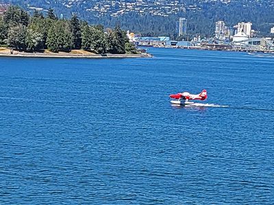 Seaplane landing near our balcony on the ship