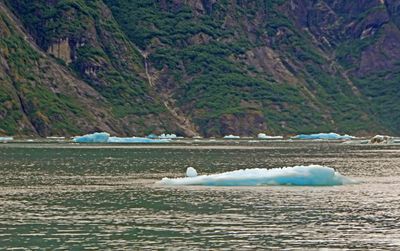 Small iceberg (classified as a 'Bergy Bit') in Tracy Arm Fjord, AK