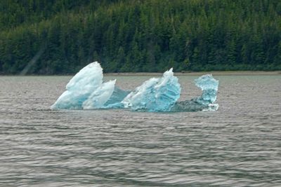 Starting to see chunks of glacier ice in Tracy Arm Fjord