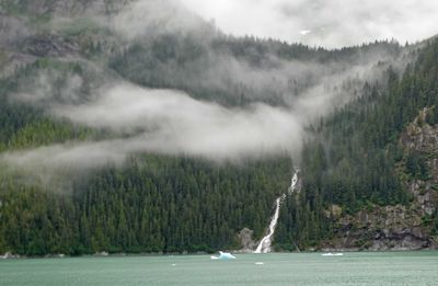 Looks like the waterfall is coming from the clouds in Tracy Arm Fjord