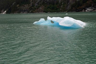 Interesting 'Bergie Bit' in Tracy Arm Fjord