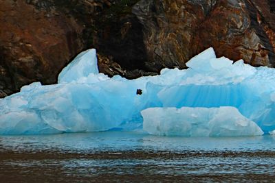 Small iceberg near Sawyer Glacier in Tracy Arm Fjord