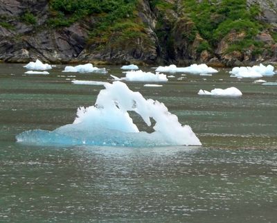 Nature's Ice Sculpture in Tracy Arm Fjord