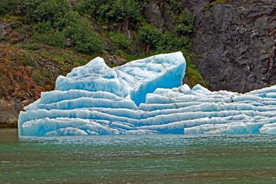 Interesting, small iceberg in Tracy Arm Fjord, AK