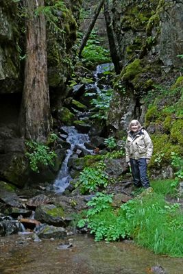 Small waterfall at Liarsville Camp, Alaska